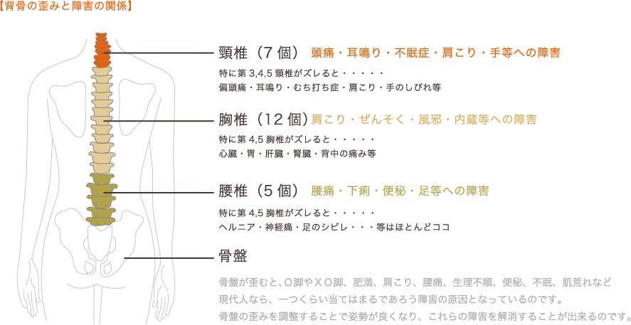 背骨の歪みと障害の関係