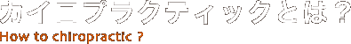 カイロプラクティックとは？